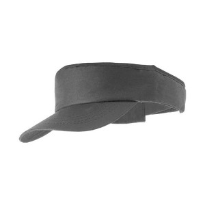Visera