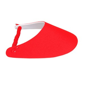 Visera