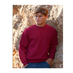 Sudadera Manga Montada Fruit